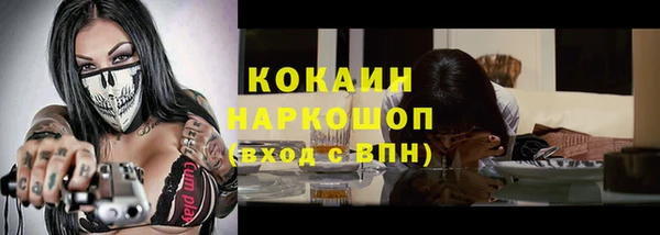 ALPHA PVP Няндома