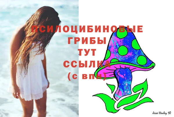 ALPHA PVP Няндома