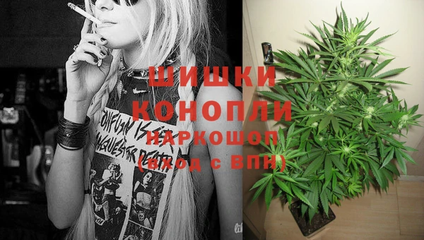 молекула духа Галич