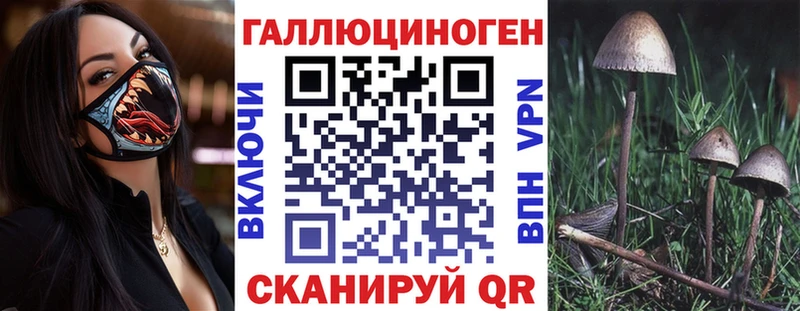 Псилоцибиновые грибы Psilocybe  Белоозёрский 